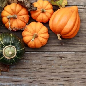 Heartfelt USA Today piece recognizes caregivers this Thanksgiving