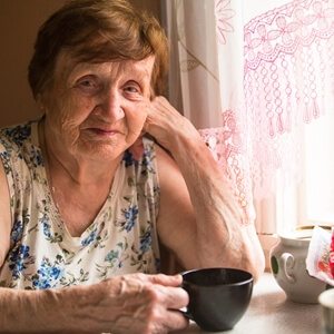 Eldercare program takes three-pronged approach to help seniors age in place